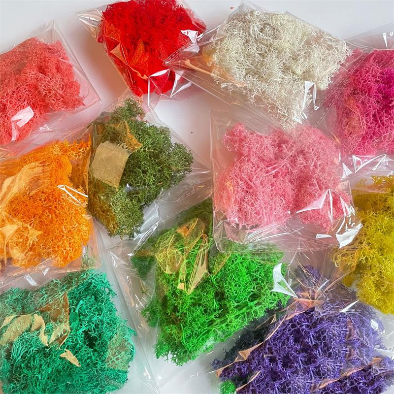 Sphagnum Moss Dry - 20-200g Sztuczne Zielone Rośliny Poliestrowy Mech