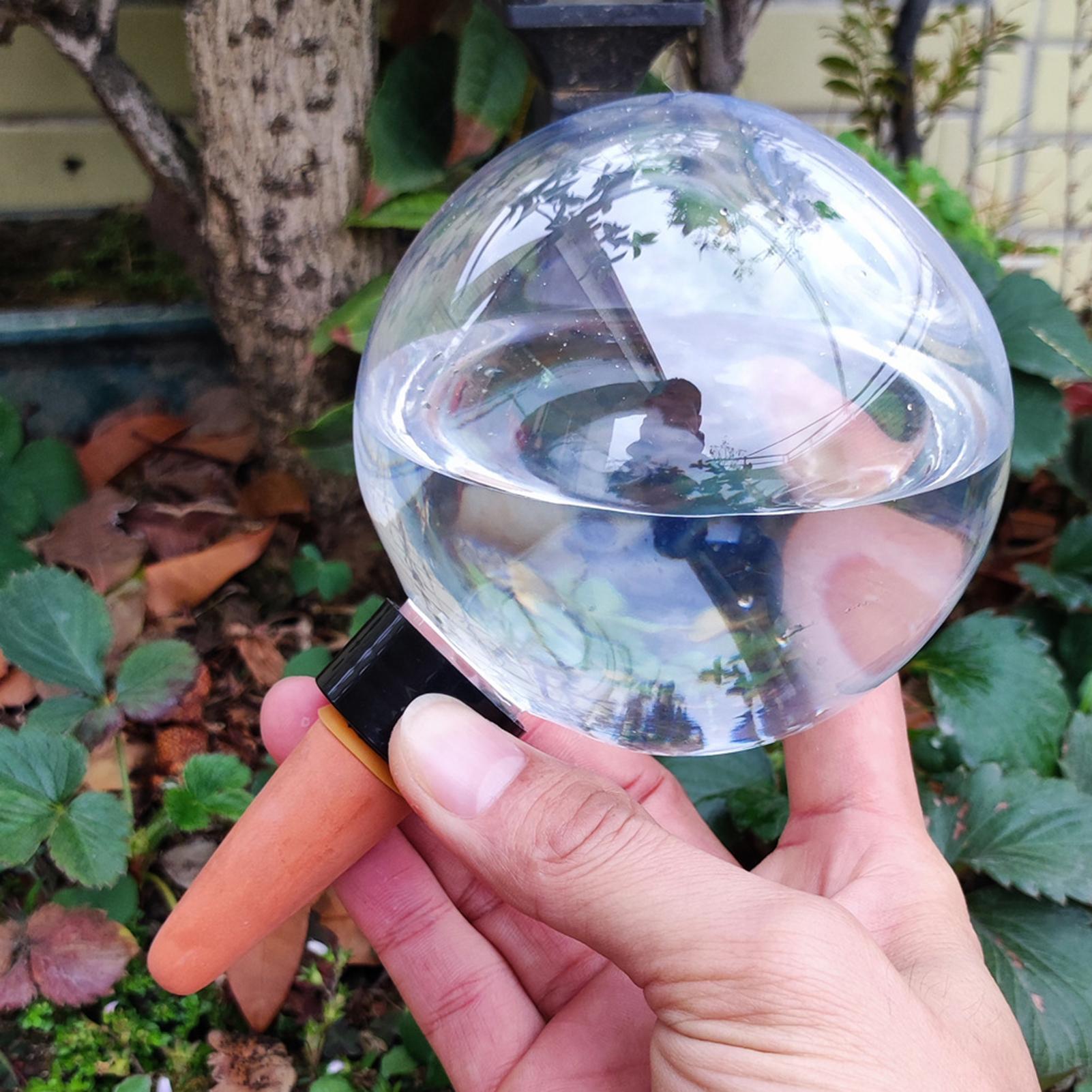 Automatyczne kule nawadniające – Self Watering Insert recenzja i cena