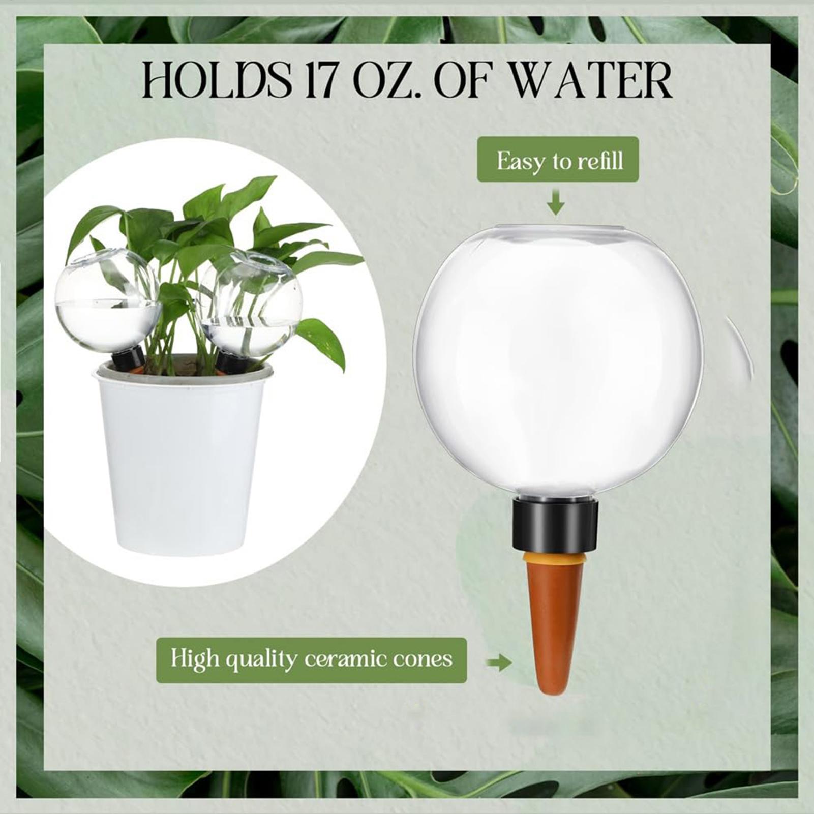 Automatyczne kule nawadniające – Self Watering Insert recenzja i cena
