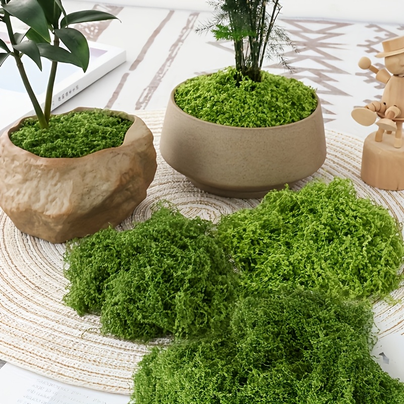 Duży pakiet realistycznego szt – Sphagnum Moss Dry recenzja i cena