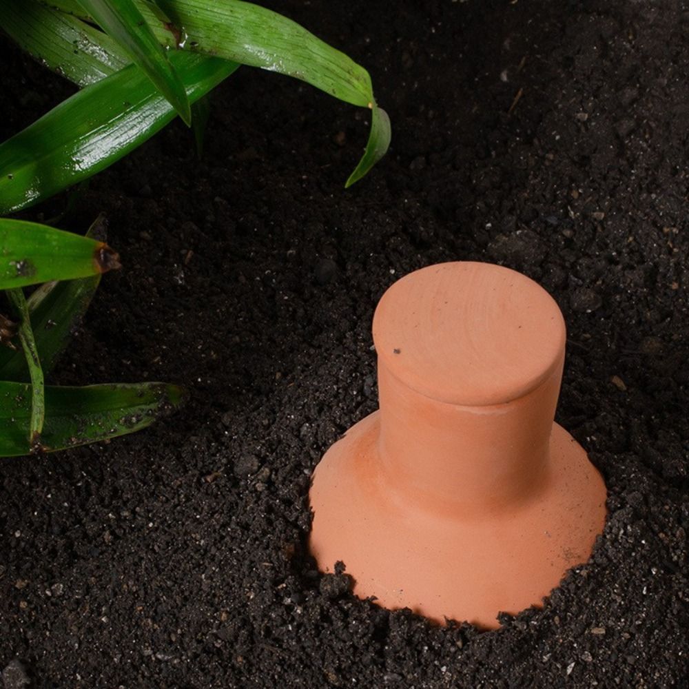 4 szt. terrakotowych kolców do – Self Watering Insert recenzja i cena